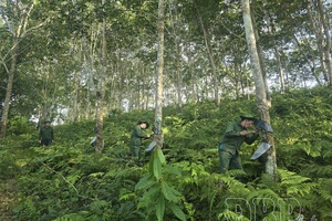 Efforts to achieve economic growth targets