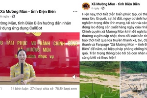 Social media - An “extended arm” of local government