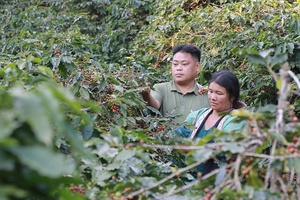 Nurturing hope on the slopes of Tát Hẹ