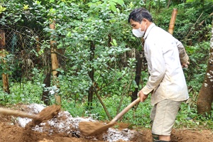 'Strict measures against illegal trade and transport of diseased pigs