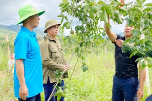 Vocational training should be linked with job creation