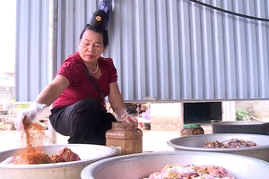 Điện Biên’s signature dried meat faces challenges from counterfeits and low-quality products