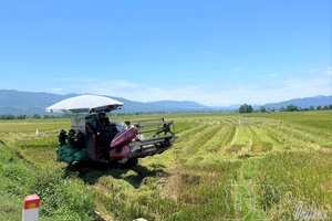 Điện Biên strives for rapid and sustainable development