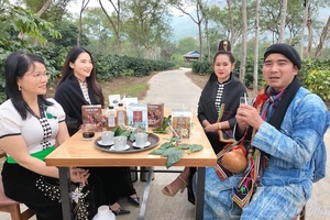 Điện Biên eyes sustainable development through green tourism