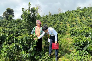 Prioritizing capital for agricultural and rural development