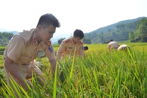 'Bringing the studying and following of President Hồ Chí Minh’s example into depth