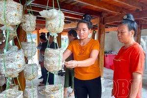 'Mobilizing resources for sustainable growth in Điện Biên