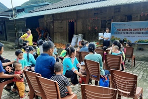 'Improving population quality in ethnic minority and mountainous areas