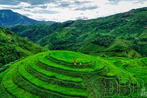 Pu Nhi terraced fields - New destination for Điện Biên tourism