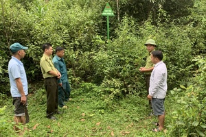 Forest management and protection adapted to the two-tier local government model