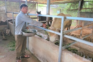 Hồ Chử Goằng - A shining “torch” in border areas (Part 1)