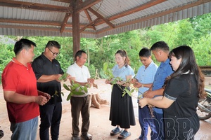 Social security - Driving force for sustainable development