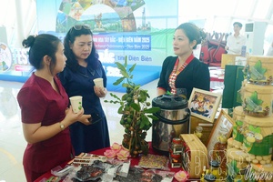 'Boosting tourism in Điện Biên