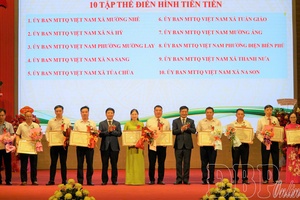 Patriotic emulation creates motivation for sustainable development