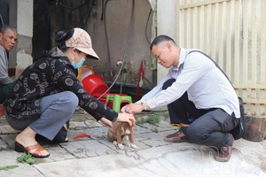 Additional support policies needed for grassroots-level veterinary staff
