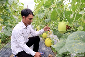 Breakthrough expectations in agriculture and forestry