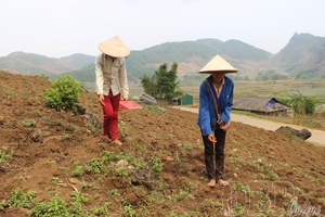 Diversifying livelihoods to reduce poverty