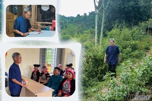 '“Great trees” of villages