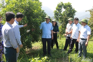 Driving Điện Biên toward a breakthrough in the new term