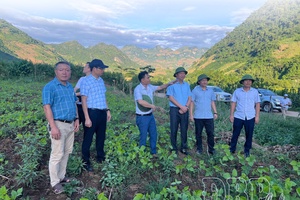 Local leadership reforms drive efficiency in Điện Biên’s two-tier government
