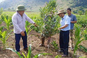 Promoting regional linkages to create development momentum