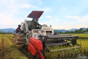 'Poverty reduction achievements in Thanh An
