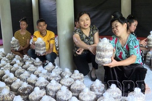 Điện Biên eyes prospects for vocational training and job creation