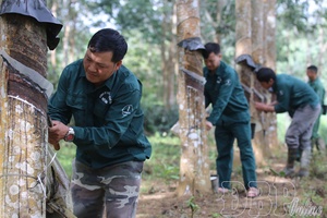 Quickly bringing Resolution of Điện Biên provincial Party Congress to life
