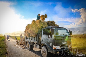 Finding “passport” for agricultural products to reach far