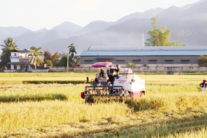 Điện Biên boosts production linkage