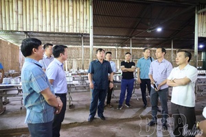 Joining hands to prevent spread of bacillary dysentery