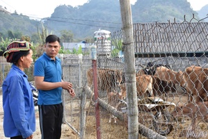 Every Party member is a shining example