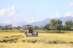 Specifying aspiration for development