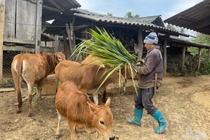 Diversifying livelihoods, moving towards sustainable poverty reduction