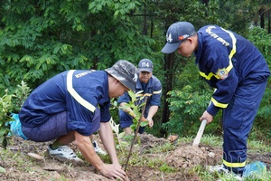 Điện Biên’s green revolution: How forests and clean energy are powering new growth