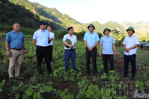 Cooperation boosted to develop sustainable raw material zones