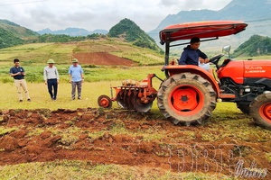 New face of Pú Nhung