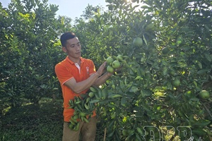 Building specialized farming zones for sustainable agriculture