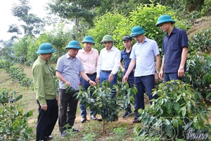 Cornerstone of new-style rural area building movement