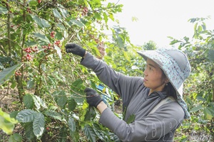 Small nurseries - big benefits