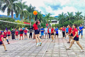 Sports spirit takes root in local schools