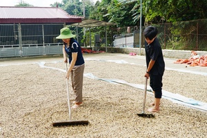 'Quài Tở brings resolution into life