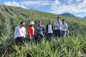 Poverty reduction in Điện Biên: From movement to action