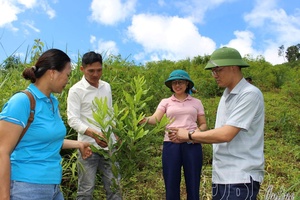 Close to the people, for the people