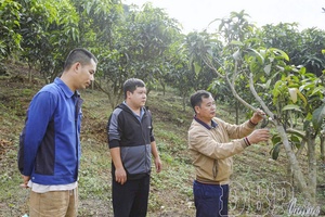 From resolutions to results: How local Party Committees are powering rural renewal