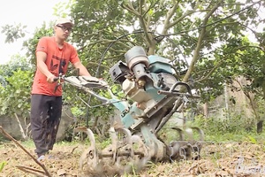 Farmers change mindset, enhance production value