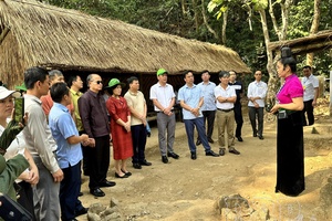 Policies needed to support tourism product development