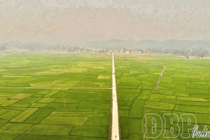 Exploiting advantages to develop specialized crop cultivation areas