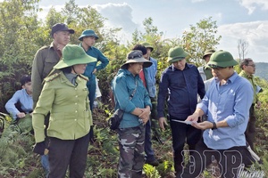 Điện Biên enters season of fire watching and forest protection