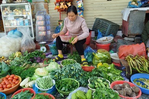 Vegetable prices rise sharply due to supply shortage